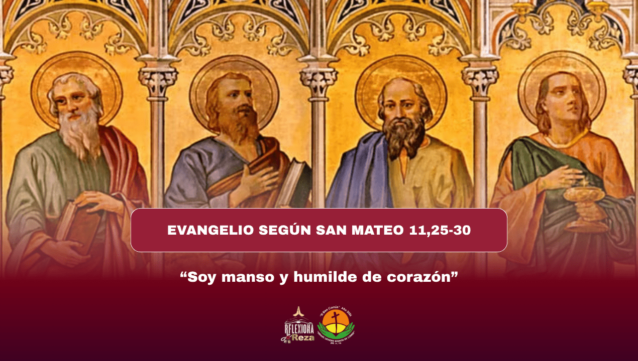 EVANGELIO, LECTURAS Y COMENTARIO | 12 DE JUNIO - Reflexiona y Reza